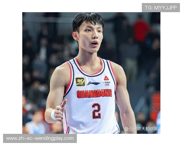 南方地区CBA球员的培养特色及比赛表现