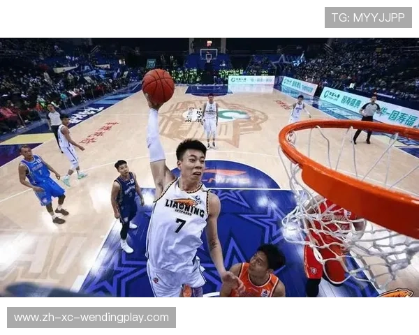 贵州是否有CBA球队？目前篮球基础与参赛前景分析