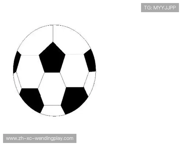 足球纤维丛概念对足球战术空间分布的数学解释